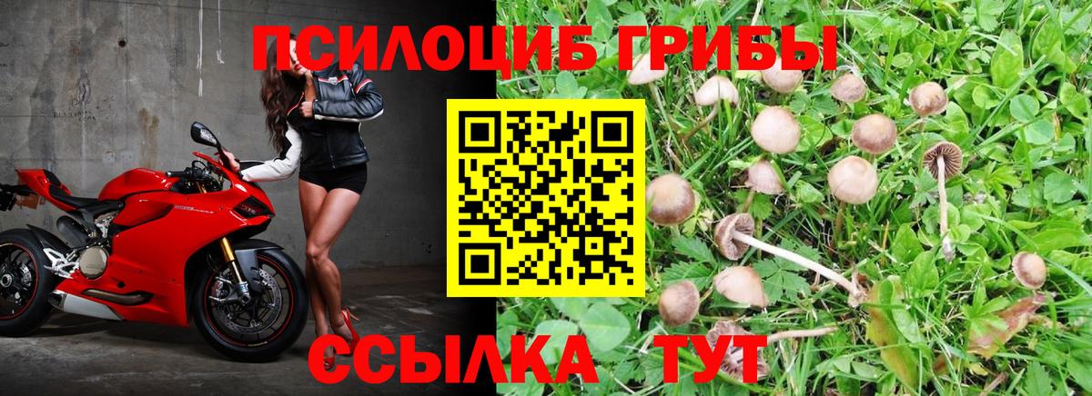 Обнинск  Псилоцибиновые грибы ЛСД  Псилоцибиновые грибы Magic Shrooms  наркошоп  Вход с VPN 
