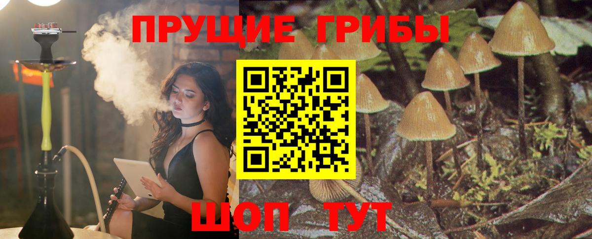 Галлюциногенные грибы GOLDEN TEACHER Обнинск